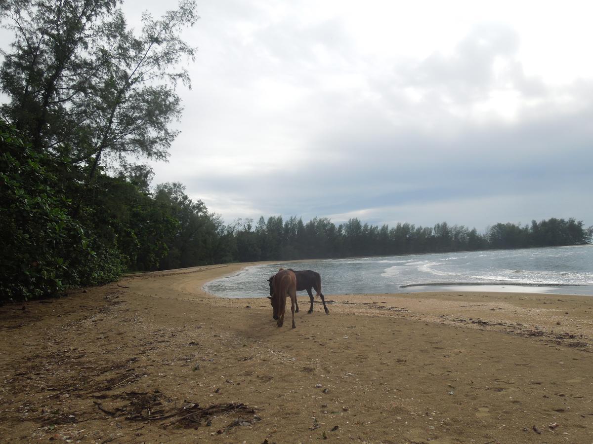 Koh Thmei Resort Phumi Kang Keng Luaran gambar